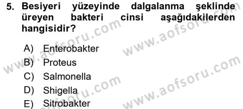 Veteriner Mikrobiyoloji ve Epidemiyoloji Dersi 2016 - 2017 Yılı (Final) Dönem Sonu Sınav Soruları 5. Soru
