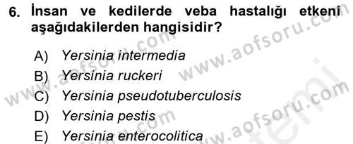 Veteriner Mikrobiyoloji ve Epidemiyoloji Dersi 2016 - 2017 Yılı (Final) Dönem Sonu Sınav Soruları 6. Soru