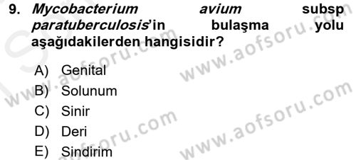 Veteriner Mikrobiyoloji ve Epidemiyoloji Dersi 2016 - 2017 Yılı (Final) Dönem Sonu Sınav Soruları 9. Soru