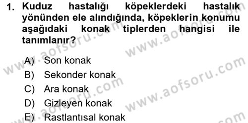Veteriner Mikrobiyoloji ve Epidemiyoloji Dersi 2017 - 2018 Yılı 3 Ders Sınav Soruları 1. Soru