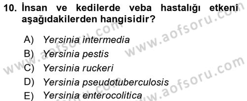 Veteriner Mikrobiyoloji ve Epidemiyoloji Dersi 2017 - 2018 Yılı 3 Ders Sınav Soruları 10. Soru