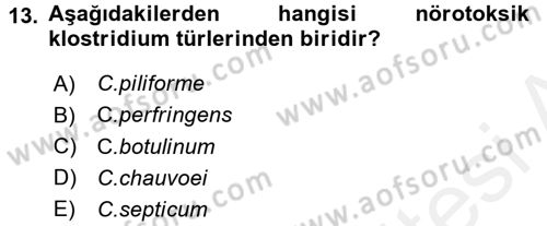 Veteriner Mikrobiyoloji ve Epidemiyoloji Dersi 2017 - 2018 Yılı 3 Ders Sınav Soruları 13. Soru