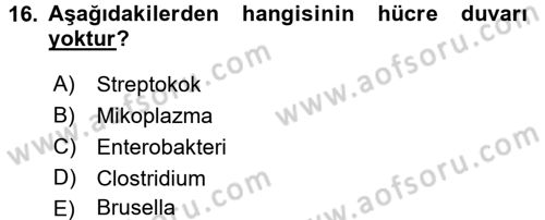 Veteriner Mikrobiyoloji ve Epidemiyoloji Dersi 2017 - 2018 Yılı 3 Ders Sınav Soruları 16. Soru