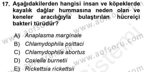 Veteriner Mikrobiyoloji ve Epidemiyoloji Dersi 2017 - 2018 Yılı 3 Ders Sınav Soruları 17. Soru