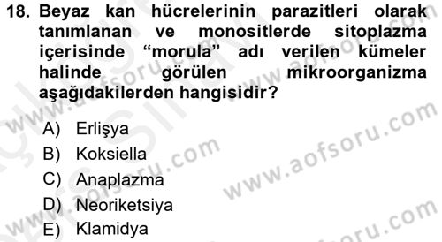 Veteriner Mikrobiyoloji ve Epidemiyoloji Dersi 2017 - 2018 Yılı 3 Ders Sınavı 18. Soru