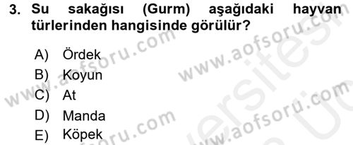 Veteriner Mikrobiyoloji ve Epidemiyoloji Dersi 2017 - 2018 Yılı 3 Ders Sınav Soruları 3. Soru