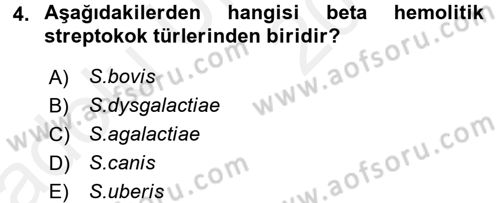 Veteriner Mikrobiyoloji ve Epidemiyoloji Dersi 2017 - 2018 Yılı 3 Ders Sınav Soruları 4. Soru
