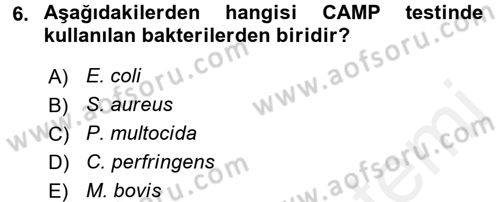 Veteriner Mikrobiyoloji ve Epidemiyoloji Dersi 2017 - 2018 Yılı 3 Ders Sınav Soruları 6. Soru