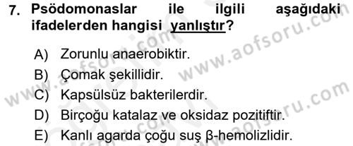 Veteriner Mikrobiyoloji ve Epidemiyoloji Dersi 2017 - 2018 Yılı 3 Ders Sınav Soruları 7. Soru