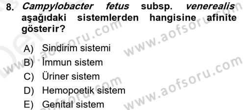 Veteriner Mikrobiyoloji ve Epidemiyoloji Dersi 2017 - 2018 Yılı 3 Ders Sınavı 8. Soru