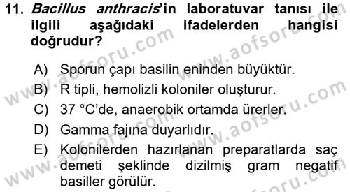 Veteriner Mikrobiyoloji ve Epidemiyoloji Dersi 2017 - 2018 Yılı (Vize) Ara Sınavı 11. Soru