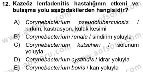 Veteriner Mikrobiyoloji ve Epidemiyoloji Dersi Ara Sınavı Deneme Sınav Soruları 12. Soru