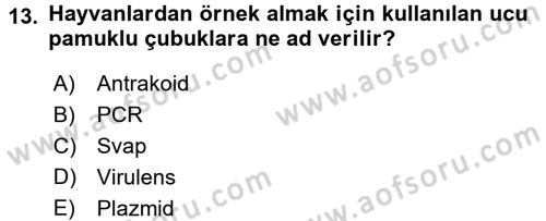 Veteriner Mikrobiyoloji ve Epidemiyoloji Dersi 2017 - 2018 Yılı (Vize) Ara Sınavı 13. Soru