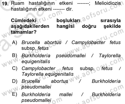 Veteriner Mikrobiyoloji ve Epidemiyoloji Dersi 2017 - 2018 Yılı (Vize) Ara Sınav Soruları 19. Soru