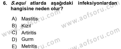 Veteriner Mikrobiyoloji ve Epidemiyoloji Dersi 2017 - 2018 Yılı (Vize) Ara Sınav Soruları 6. Soru