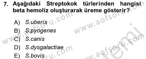 Veteriner Mikrobiyoloji ve Epidemiyoloji Dersi 2017 - 2018 Yılı (Vize) Ara Sınav Soruları 7. Soru