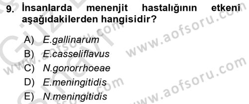 Veteriner Mikrobiyoloji ve Epidemiyoloji Dersi 2017 - 2018 Yılı (Vize) Ara Sınav Soruları 9. Soru