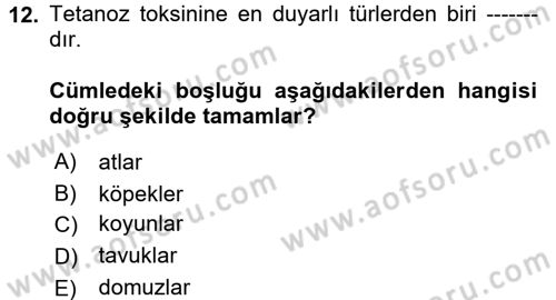 Veteriner Mikrobiyoloji ve Epidemiyoloji Dersi 2017 - 2018 Yılı (Final) Dönem Sonu Sınav Soruları 12. Soru