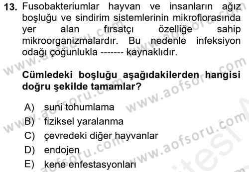 Veteriner Mikrobiyoloji ve Epidemiyoloji Dersi 2017 - 2018 Yılı (Final) Dönem Sonu Sınav Soruları 13. Soru
