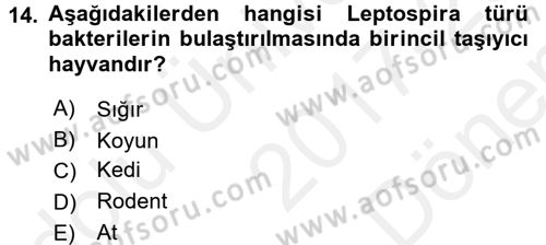 Veteriner Mikrobiyoloji ve Epidemiyoloji Dersi 2017 - 2018 Yılı (Final) Dönem Sonu Sınav Soruları 14. Soru