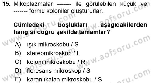 Veteriner Mikrobiyoloji ve Epidemiyoloji Dersi 2017 - 2018 Yılı (Final) Dönem Sonu Sınavı 15. Soru