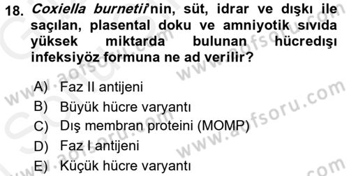 Veteriner Mikrobiyoloji ve Epidemiyoloji Dersi 2017 - 2018 Yılı (Final) Dönem Sonu Sınav Soruları 18. Soru