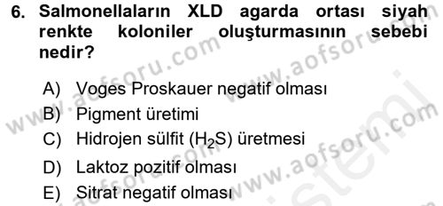 Veteriner Mikrobiyoloji ve Epidemiyoloji Dersi 2017 - 2018 Yılı (Final) Dönem Sonu Sınavı 6. Soru