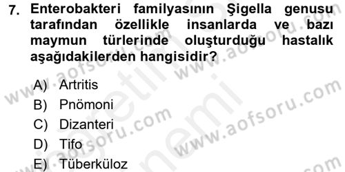 Veteriner Mikrobiyoloji ve Epidemiyoloji Dersi 2017 - 2018 Yılı (Final) Dönem Sonu Sınav Soruları 7. Soru