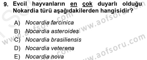 Veteriner Mikrobiyoloji ve Epidemiyoloji Dersi 2017 - 2018 Yılı (Final) Dönem Sonu Sınav Soruları 9. Soru