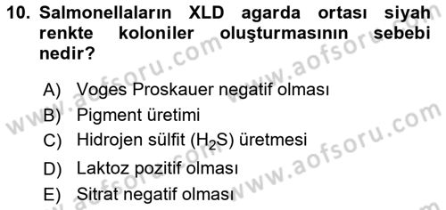 Veteriner Mikrobiyoloji ve Epidemiyoloji Dersi 2018 - 2019 Yılı 3 Ders Sınavı 10. Soru