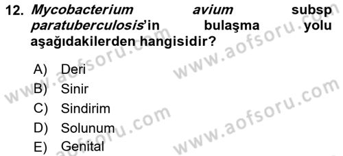 Veteriner Mikrobiyoloji ve Epidemiyoloji Dersi 2018 - 2019 Yılı 3 Ders Sınavı 12. Soru