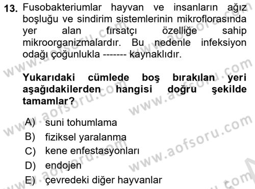 Veteriner Mikrobiyoloji ve Epidemiyoloji Dersi 2018 - 2019 Yılı 3 Ders Sınavı 13. Soru