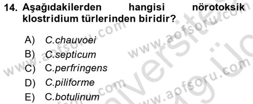 Veteriner Mikrobiyoloji ve Epidemiyoloji Dersi 2018 - 2019 Yılı 3 Ders Sınavı 14. Soru