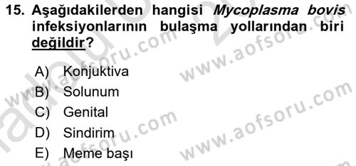 Veteriner Mikrobiyoloji ve Epidemiyoloji Dersi 2018 - 2019 Yılı 3 Ders Sınavı 15. Soru