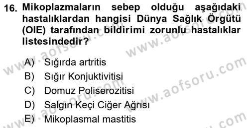 Veteriner Mikrobiyoloji ve Epidemiyoloji Dersi 2018 - 2019 Yılı 3 Ders Sınavı 16. Soru