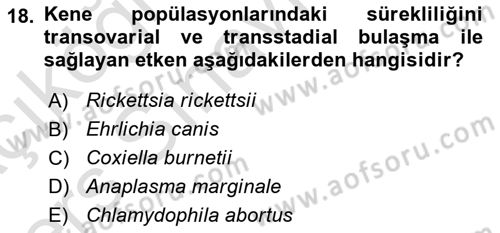 Veteriner Mikrobiyoloji ve Epidemiyoloji Dersi 2018 - 2019 Yılı 3 Ders Sınavı 18. Soru