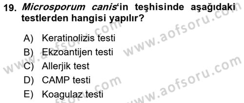 Veteriner Mikrobiyoloji ve Epidemiyoloji Dersi 2018 - 2019 Yılı 3 Ders Sınavı 19. Soru