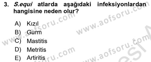 Veteriner Mikrobiyoloji ve Epidemiyoloji Dersi 2018 - 2019 Yılı 3 Ders Sınavı 3. Soru