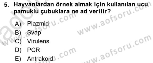 Veteriner Mikrobiyoloji ve Epidemiyoloji Dersi 2018 - 2019 Yılı 3 Ders Sınavı 5. Soru