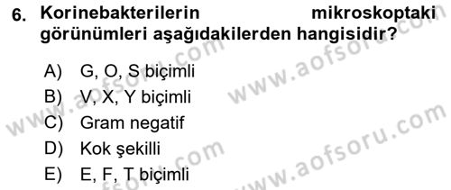 Veteriner Mikrobiyoloji ve Epidemiyoloji Dersi 2018 - 2019 Yılı 3 Ders Sınavı 6. Soru