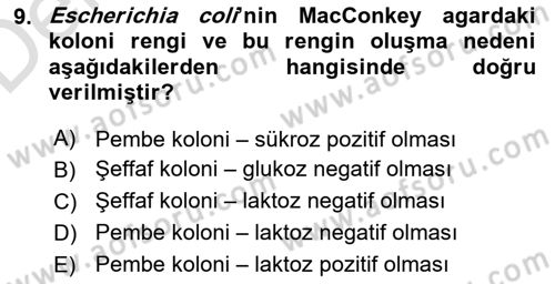 Veteriner Mikrobiyoloji ve Epidemiyoloji Dersi 2018 - 2019 Yılı 3 Ders Sınavı 9. Soru