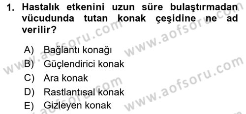 Veteriner Mikrobiyoloji ve Epidemiyoloji Dersi 2018 - 2019 Yılı (Final) Dönem Sonu Sınavı 1. Soru