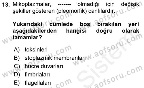 Veteriner Mikrobiyoloji ve Epidemiyoloji Dersi 2018 - 2019 Yılı (Final) Dönem Sonu Sınav Soruları 13. Soru