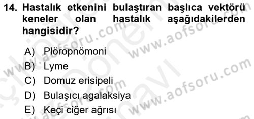 Veteriner Mikrobiyoloji ve Epidemiyoloji Dersi 2018 - 2019 Yılı (Final) Dönem Sonu Sınav Soruları 14. Soru
