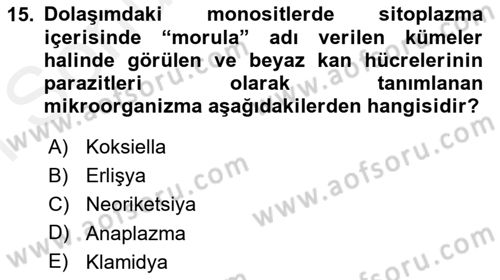 Veteriner Mikrobiyoloji ve Epidemiyoloji Dersi 2018 - 2019 Yılı (Final) Dönem Sonu Sınav Soruları 15. Soru