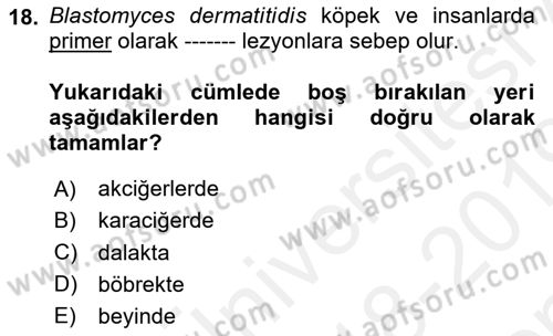 Veteriner Mikrobiyoloji ve Epidemiyoloji Dersi 2018 - 2019 Yılı (Final) Dönem Sonu Sınav Soruları 18. Soru
