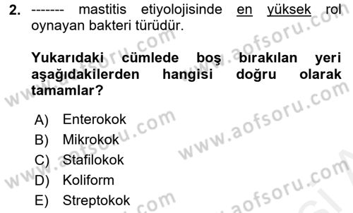 Veteriner Mikrobiyoloji ve Epidemiyoloji Dersi 2018 - 2019 Yılı (Final) Dönem Sonu Sınav Soruları 2. Soru