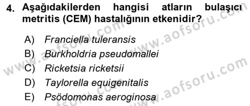 Veteriner Mikrobiyoloji ve Epidemiyoloji Dersi 2018 - 2019 Yılı (Final) Dönem Sonu Sınavı 4. Soru