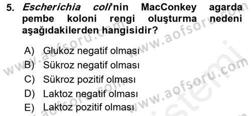 Veteriner Mikrobiyoloji ve Epidemiyoloji Dersi 2018 - 2019 Yılı (Final) Dönem Sonu Sınavı 5. Soru