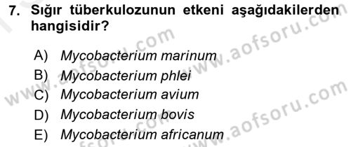 Veteriner Mikrobiyoloji ve Epidemiyoloji Dersi 2018 - 2019 Yılı (Final) Dönem Sonu Sınavı 7. Soru